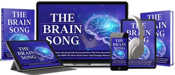 The Brain Song